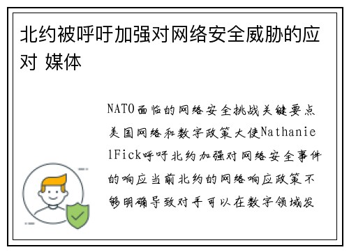 北约被呼吁加强对网络安全威胁的应对 媒体