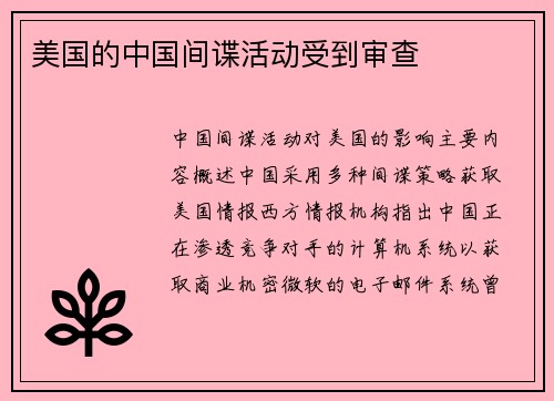 美国的中国间谍活动受到审查 